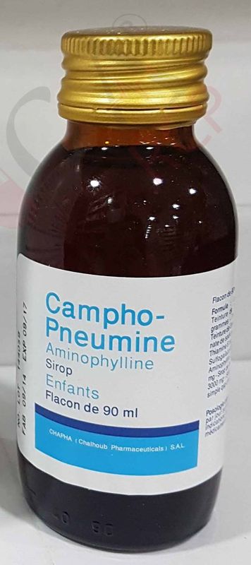 Campho-Pneumine Amino Syrup Children*